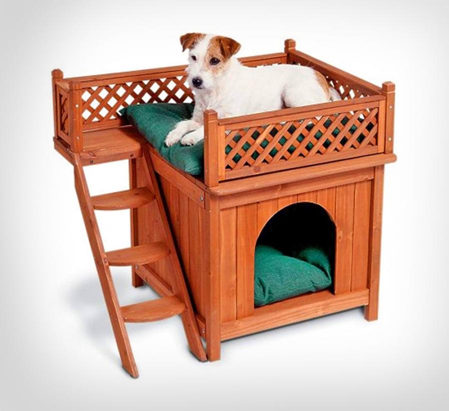 Dog Bunk Bed