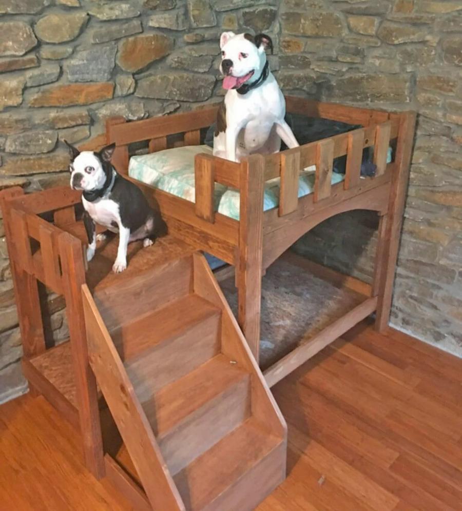 Dog Bunk Bed