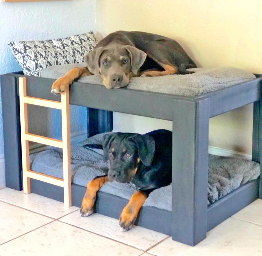 Dog Bunk Bed