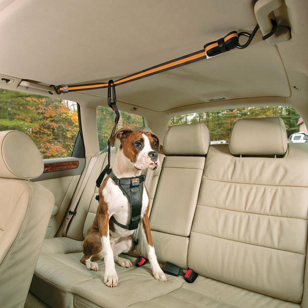 Dog Car Zipline - Safety Auto zip line for dogs