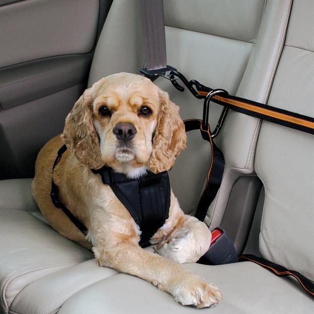 Dog Car Zipline - Safety Auto zip line for dogs