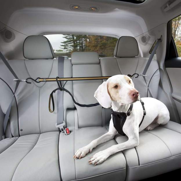 Dog Car Zipline - Safety Auto zip line for dogs