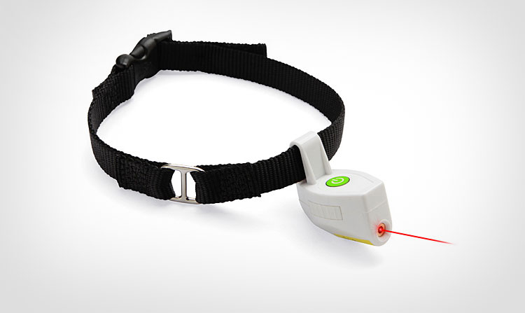 Dog Collar With Laser Pointer