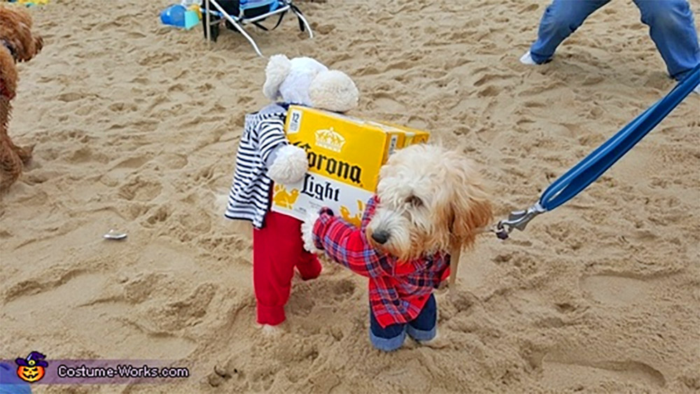 Dog Carrying Costume - Dogs carrying a case of beer Halloween dog costume