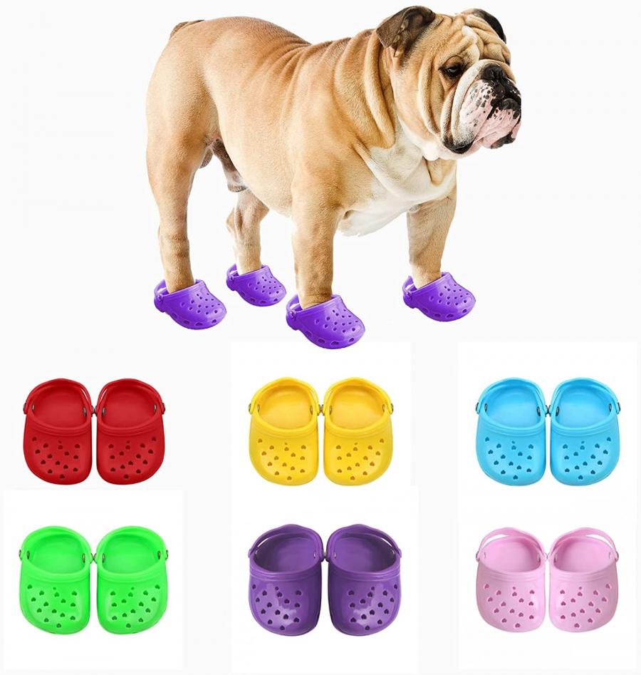Dog Crocs - Croc shoes made for dogs