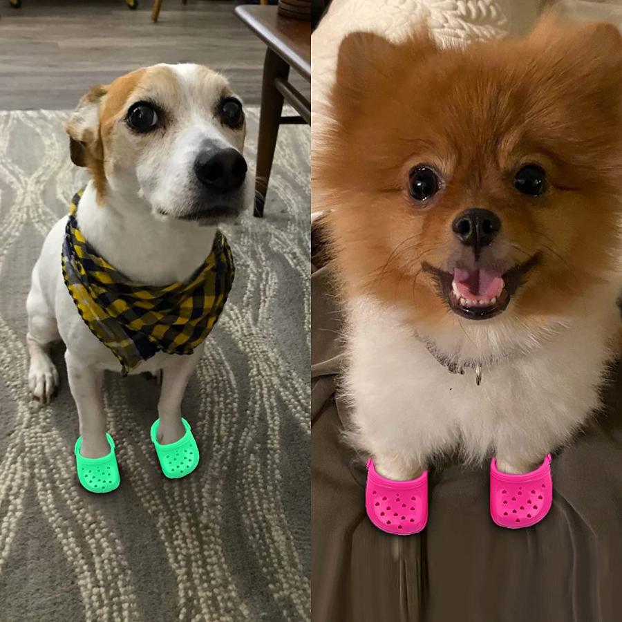 Dog Crocs - Croc shoes made for dogs