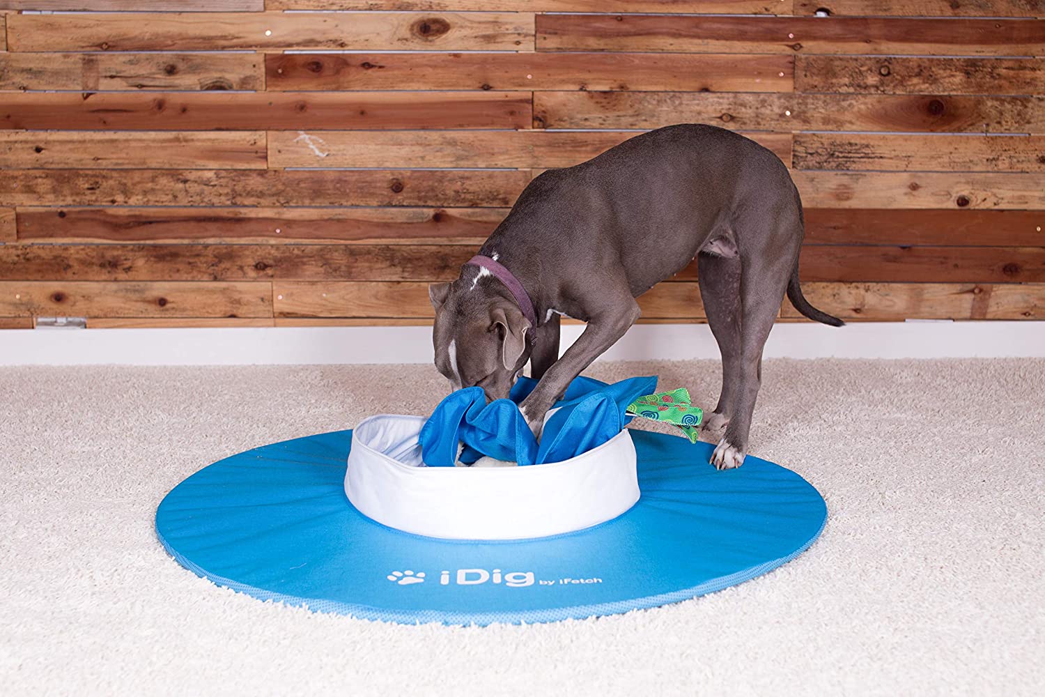 iDig Indoor Dog Digging Toy