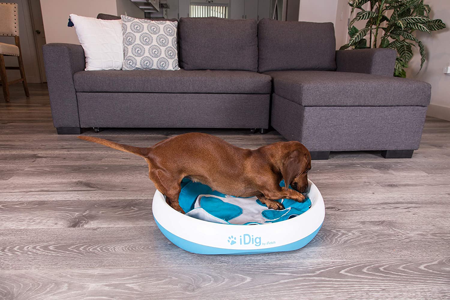 iDig Indoor Dog Digging Toy