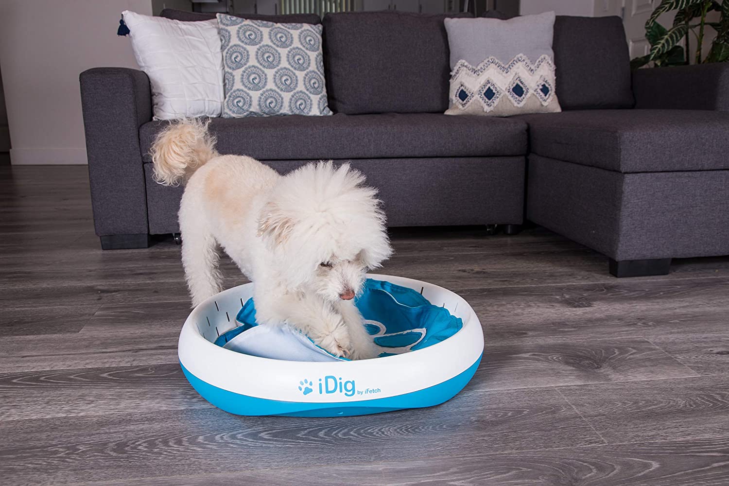 iDig Indoor Dog Digging Toy