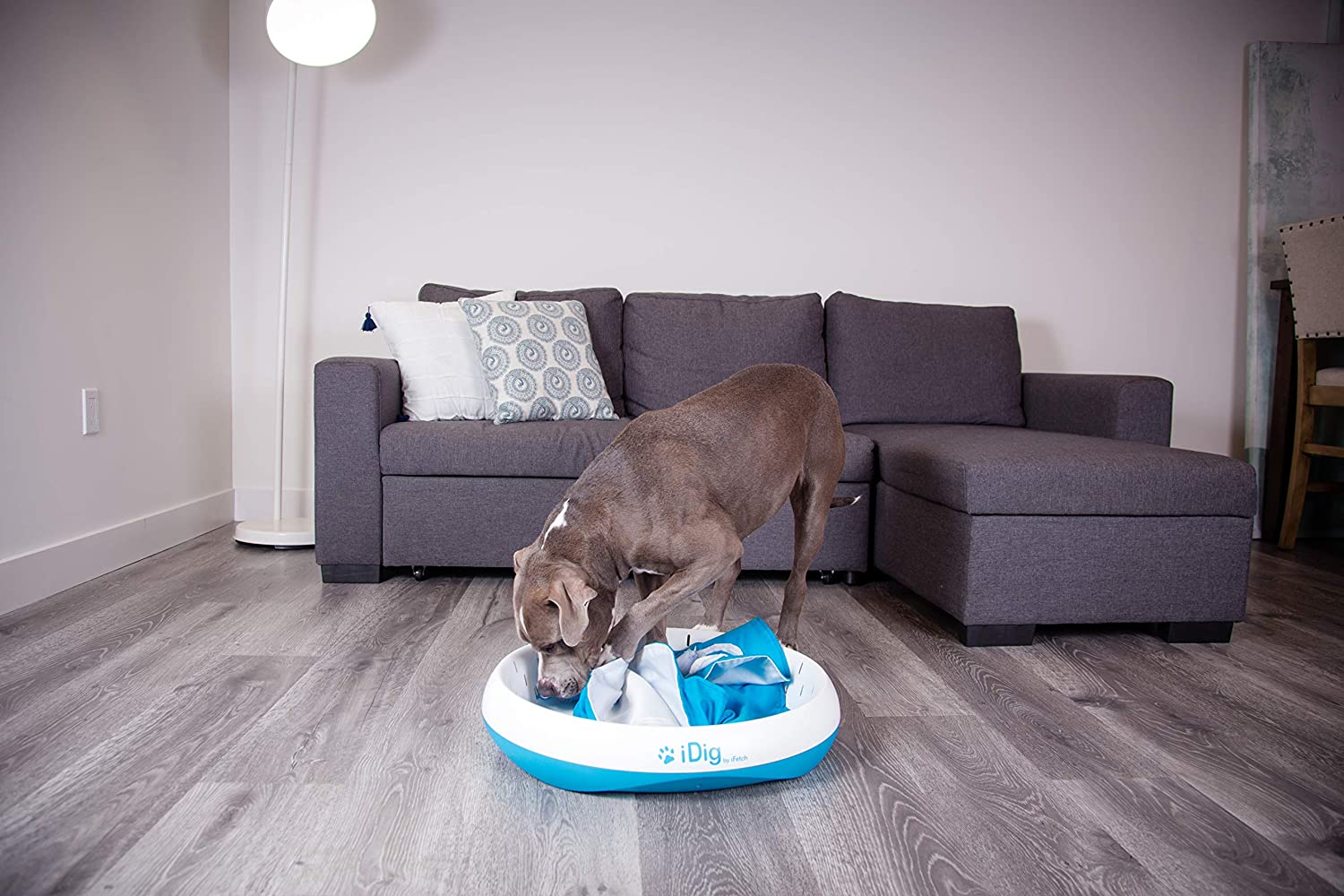 iDig Indoor Dog Digging Toy