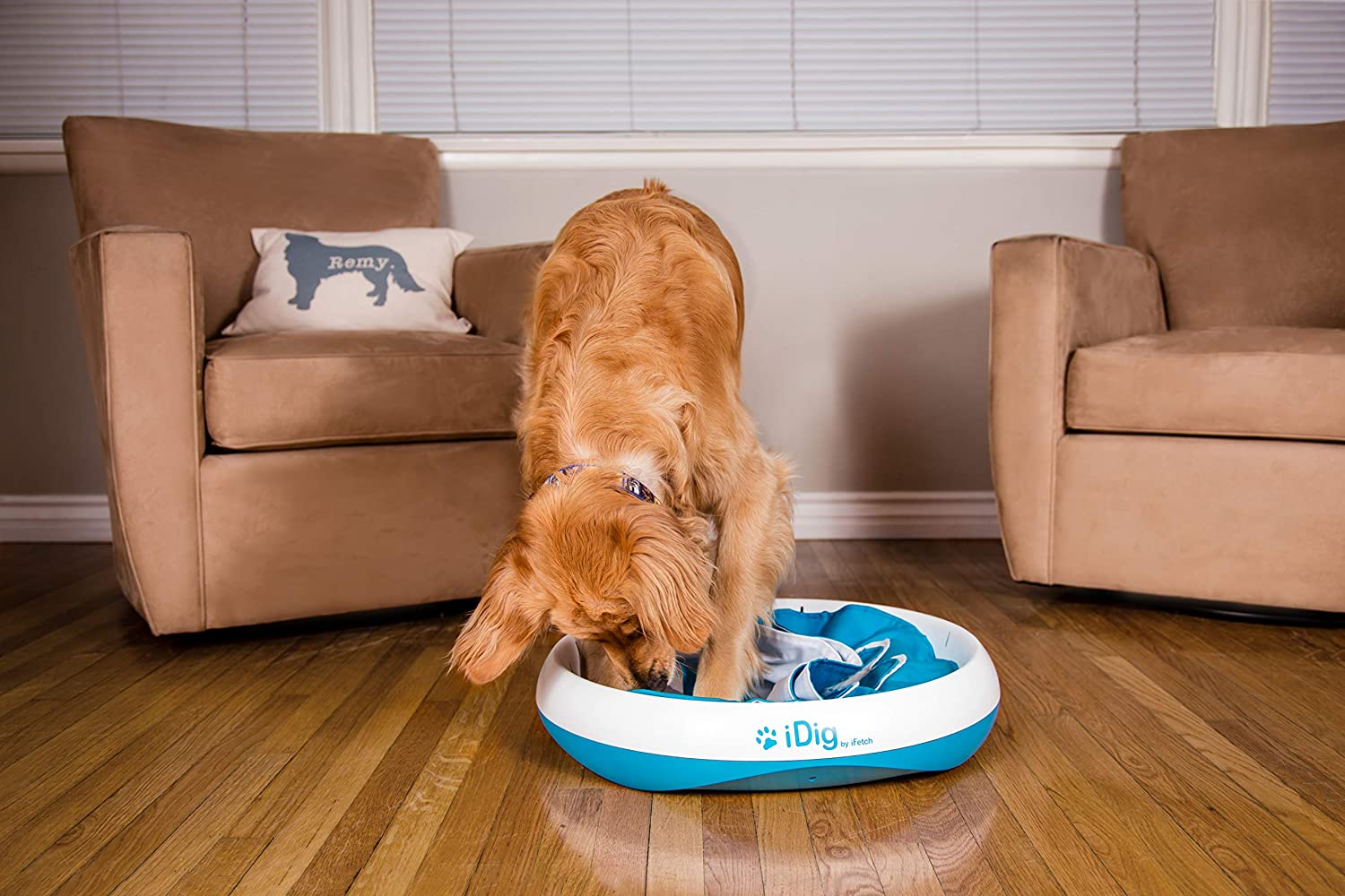 iDig Indoor Dog Digging Toy
