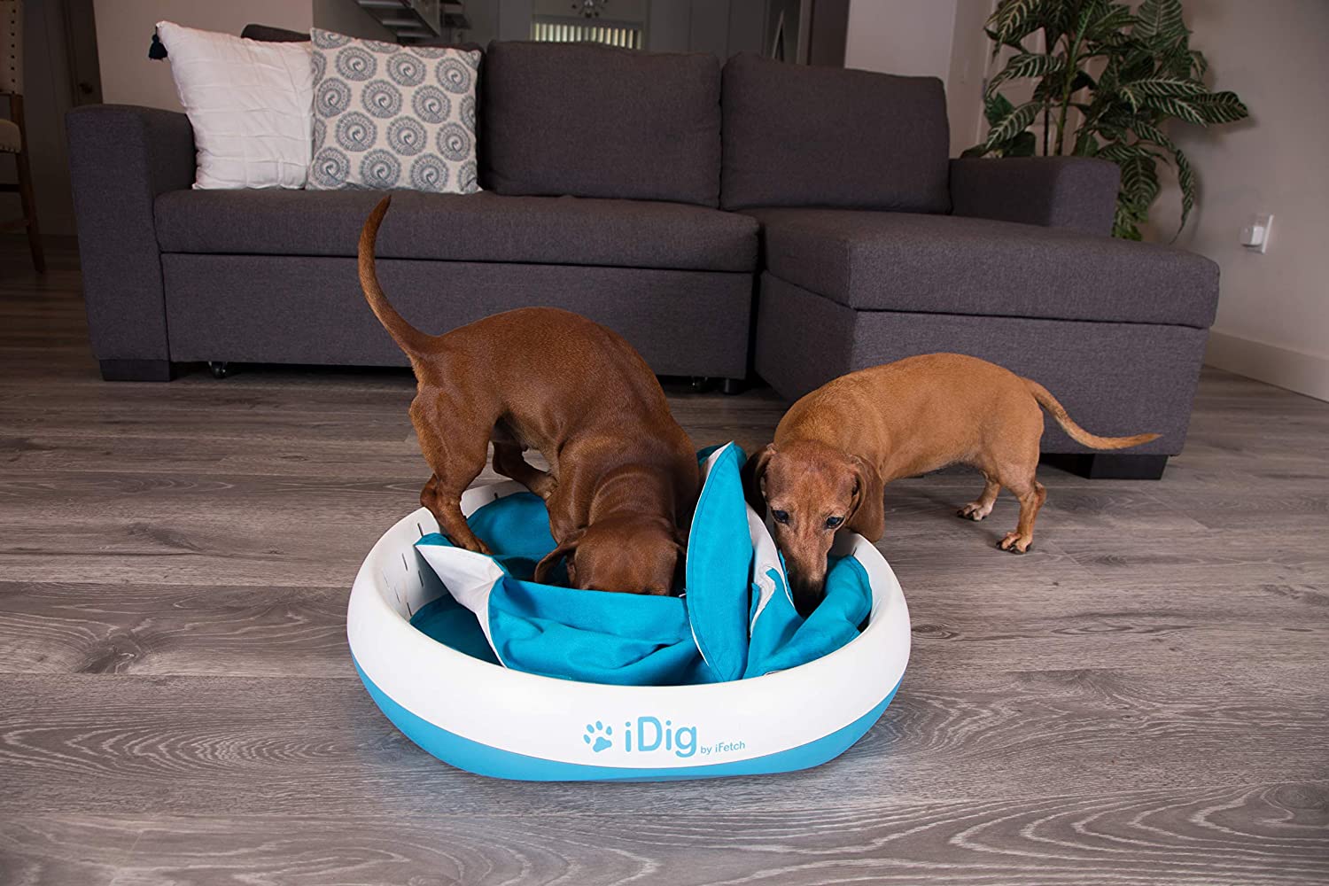 iDig Indoor Dog Digging Toy