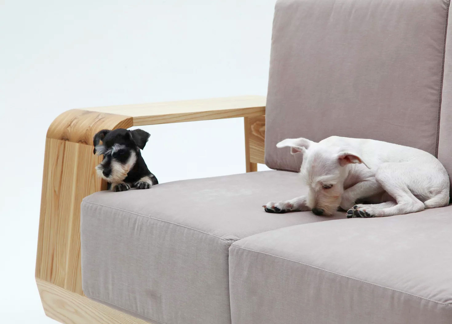 Dog House Sofa Has an Integrated Dog Bed In The Armrest - Dog bed in couch sofa wooden armrest