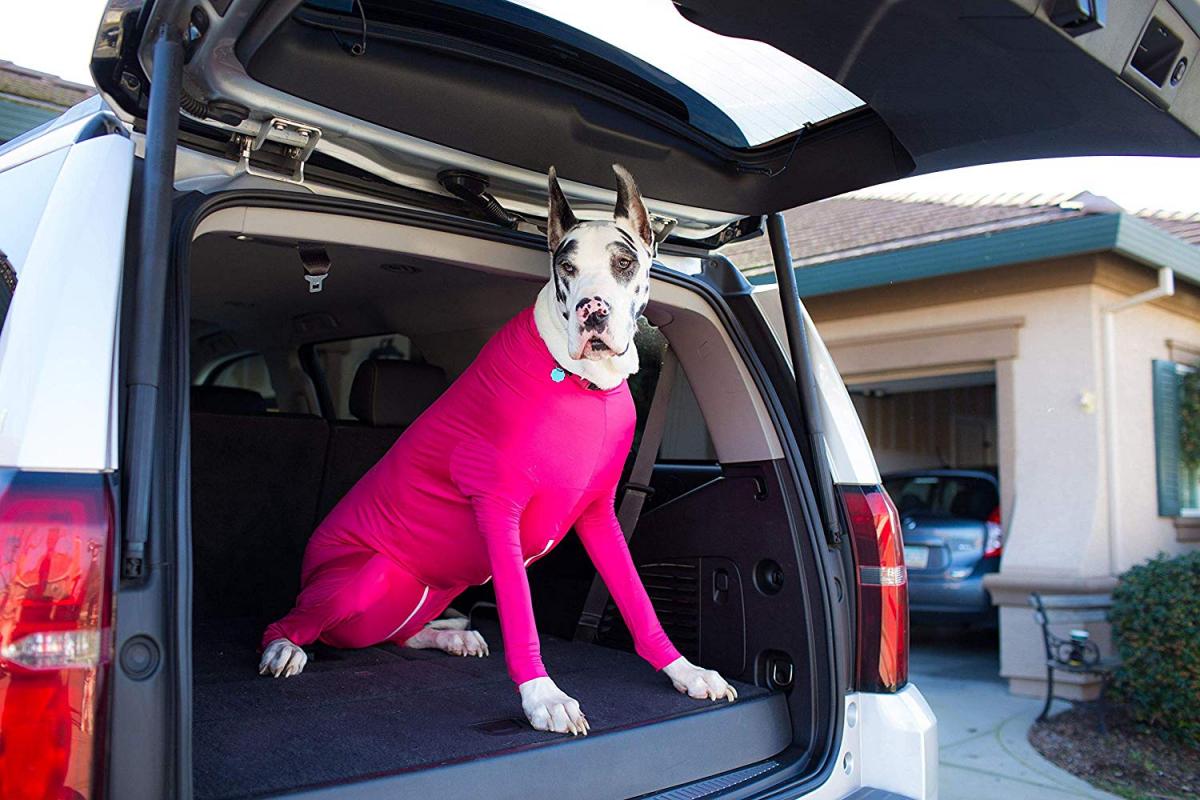 Shed Defender Dog Onesie prevents dogs from shedding all over your house - Dog onesie dog cone alternative
