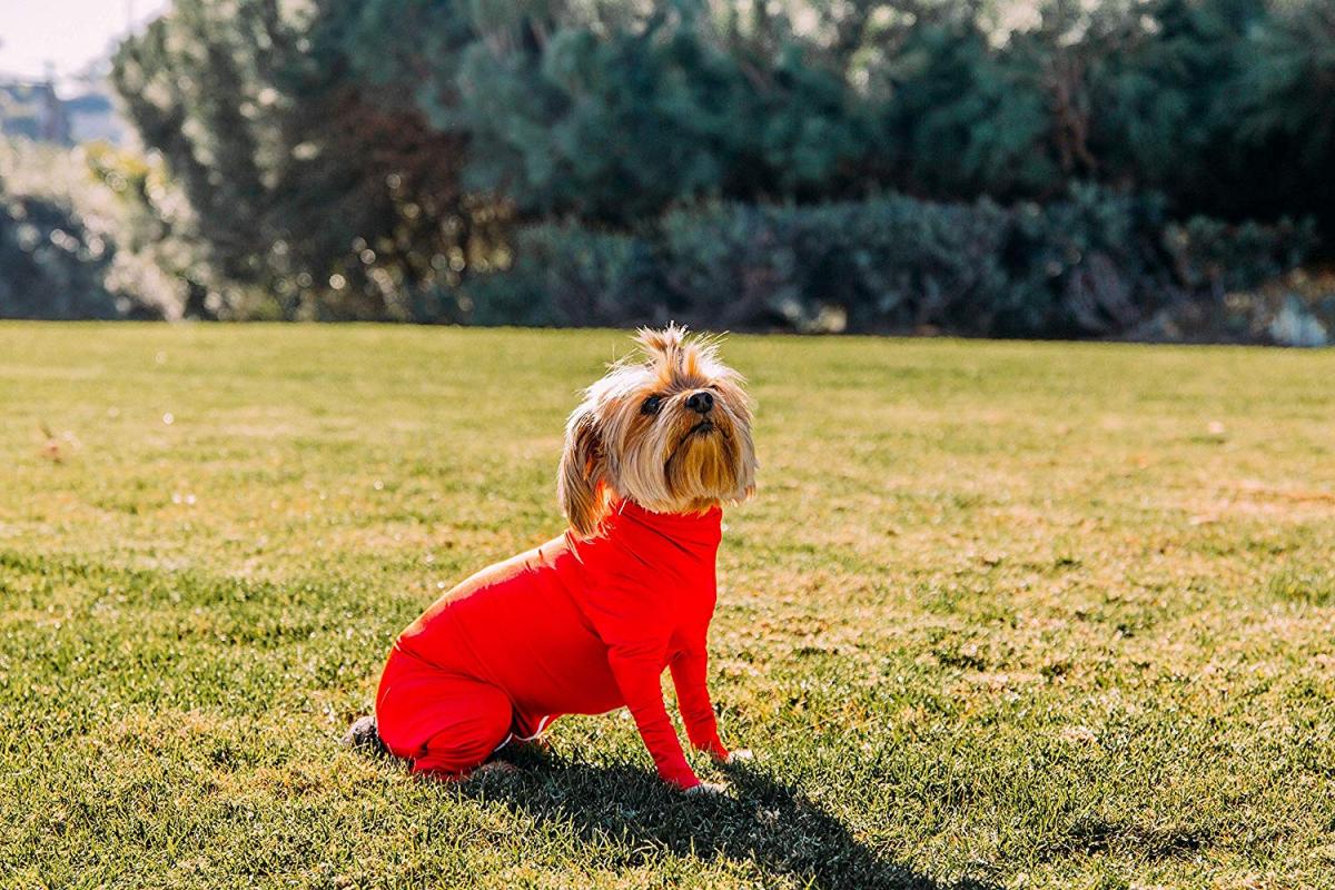 Shed Defender Dog Onesie prevents dogs from shedding all over your house - Dog onesie dog cone alternative