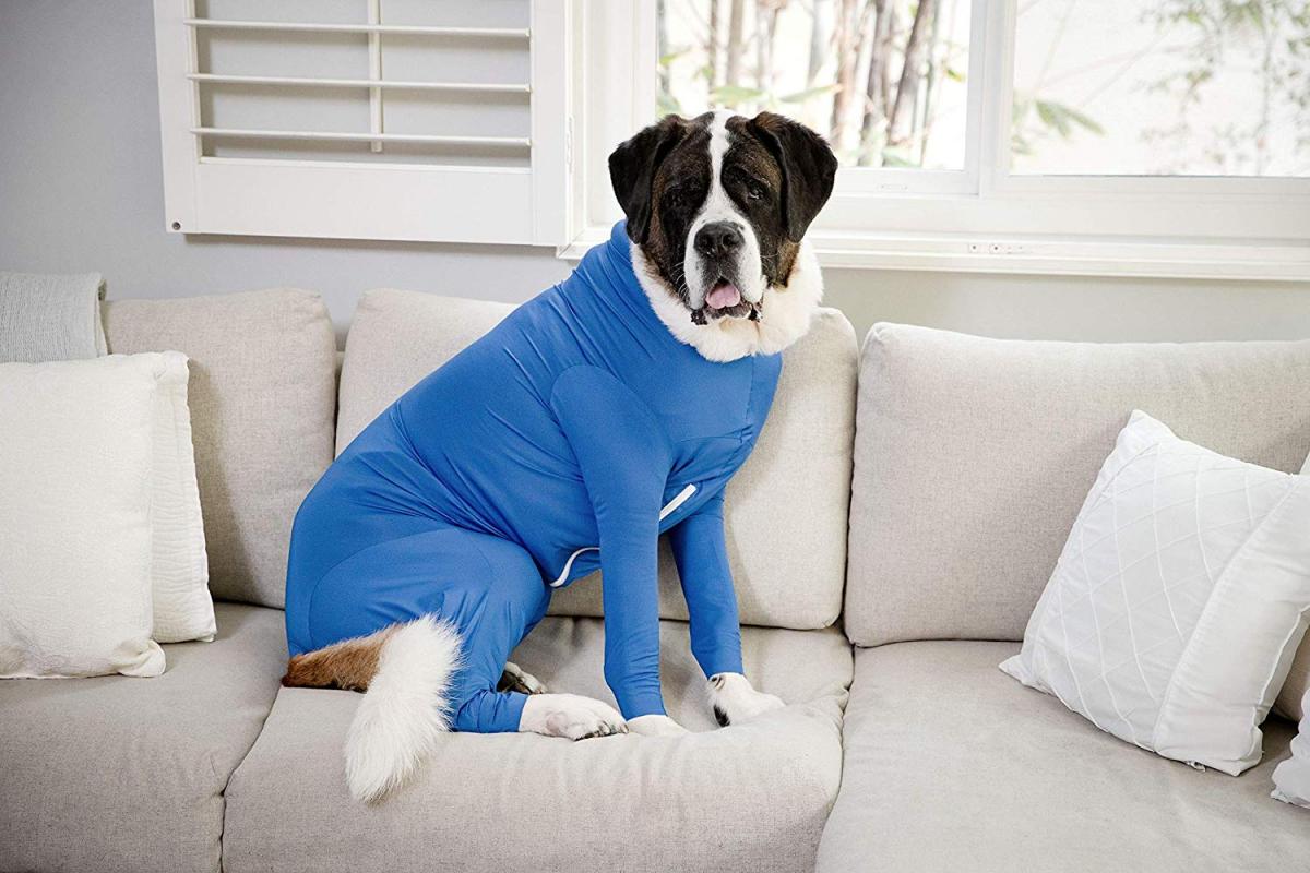 Shed Defender Dog Onesie prevents dogs from shedding all over your house - Dog onesie dog cone alternative