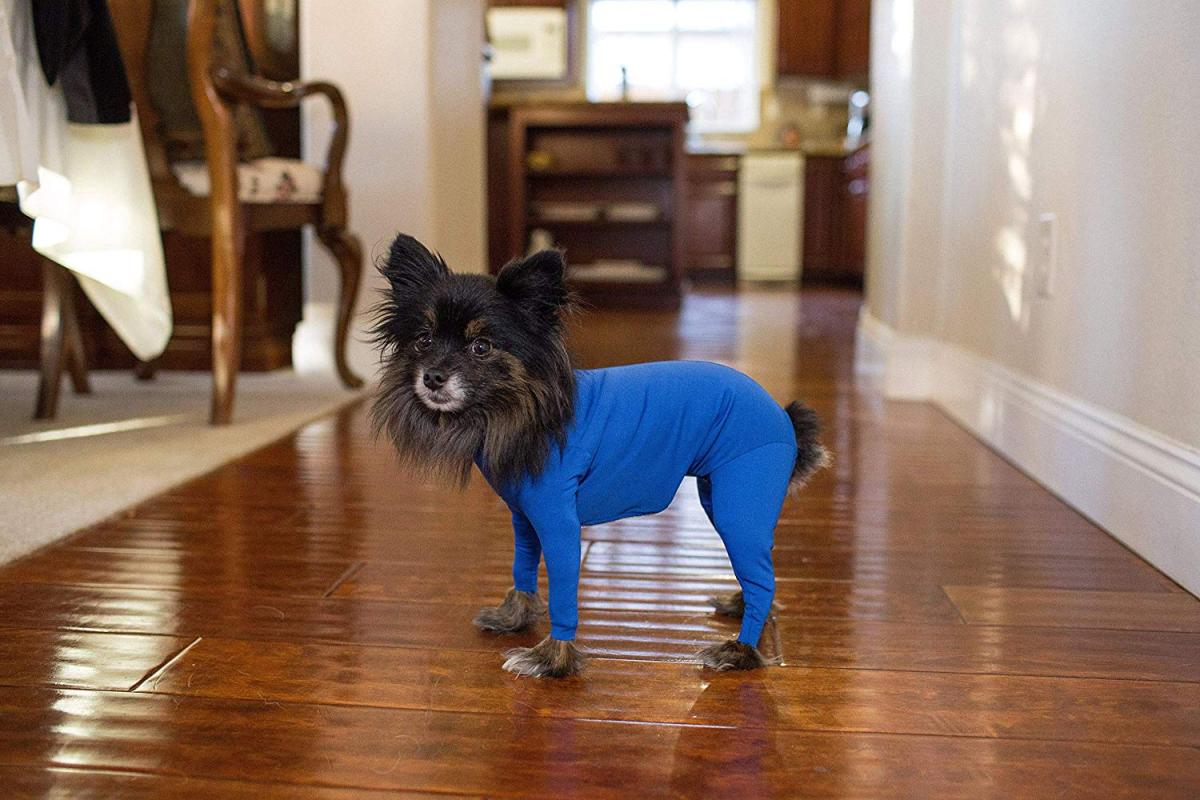 Shed Defender Dog Onesie prevents dogs from shedding all over your house - Dog onesie dog cone alternative