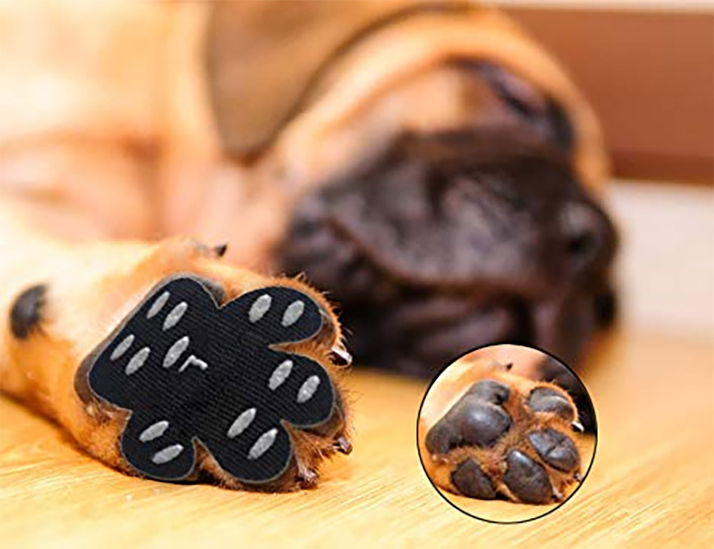 Dog Pad Grips Prevent Slipping On Hardwood Floor