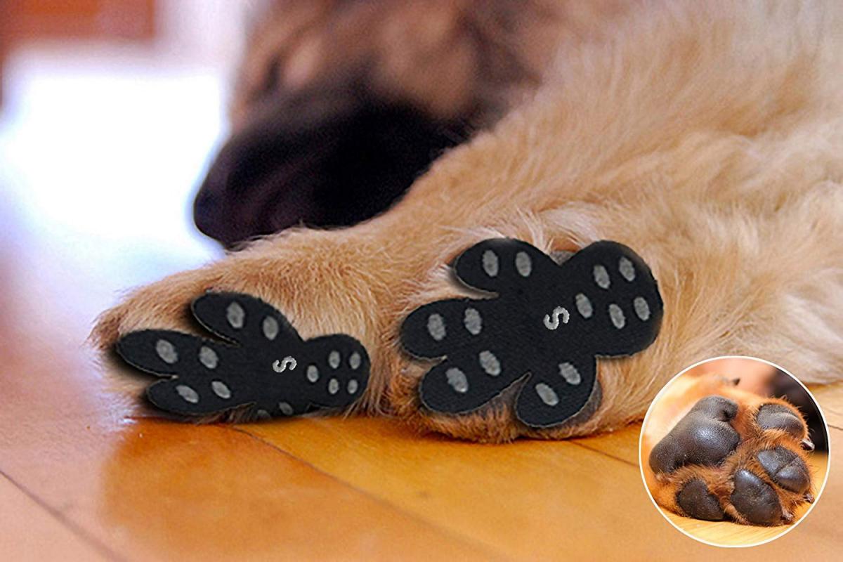 Dog Pad Grips Prevent Slipping On Hardwood Floor