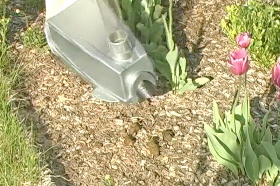 Dog Poop Vacuum - Electric pooper scooper