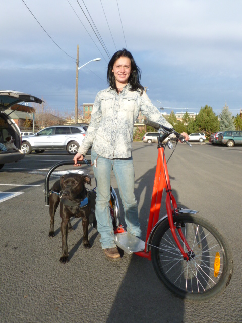 Dog Powered Scooters - Bicycle Dog Sledding - Road dog sledding scooter
