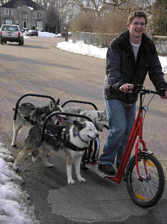 Dog Powered Scooters - Bicycle Dog Sledding - Road dog sledding scooter