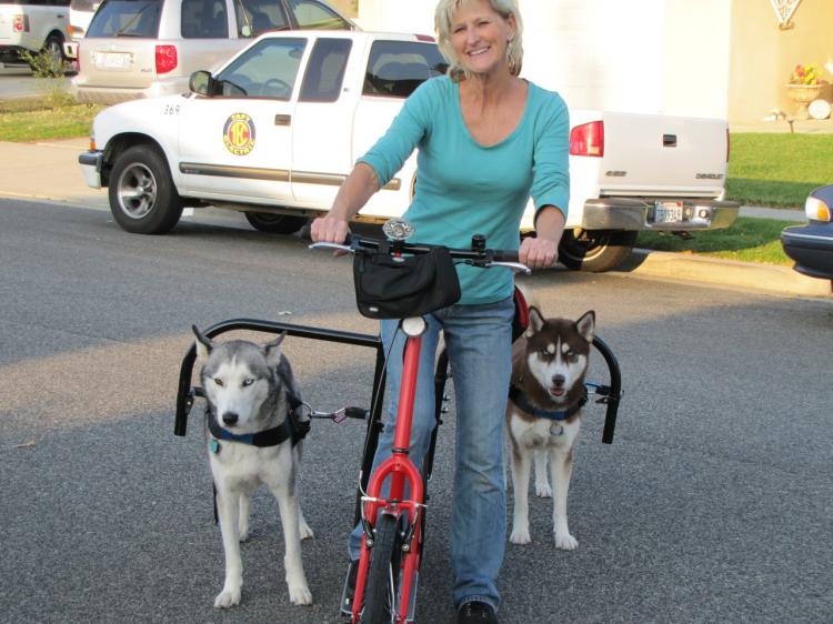 Dog Powered Scooters - Bicycle Dog Sledding - Road dog sledding scooter