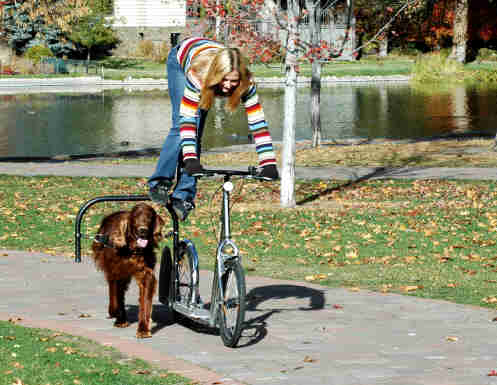 Dog Powered Scooters - Bicycle Dog Sledding - Road dog sledding scooter