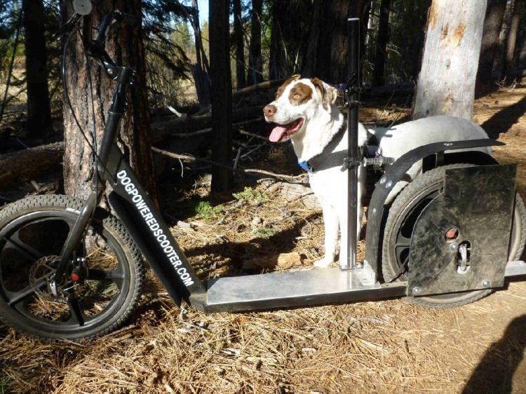 Dog Powered Scooters - Bicycle Dog Sledding - Road dog sledding scooter