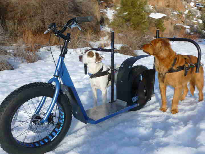 Dog Powered Scooters - Bicycle Dog Sledding - Road dog sledding scooter