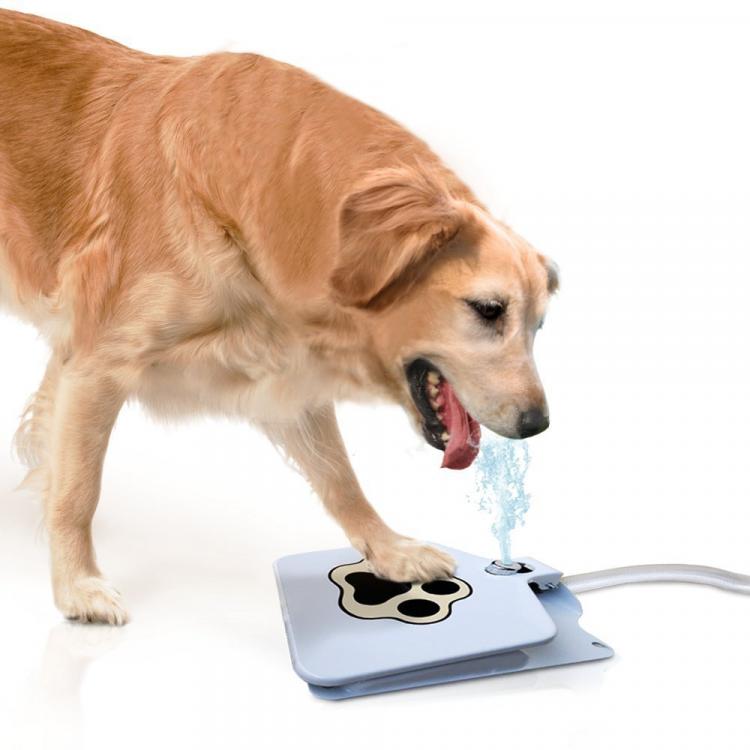 Dog Push Pedal Water Fountain - Doggie Fountain