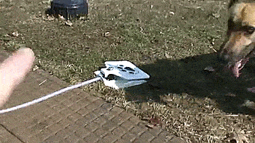 Dog Push Pedal Water Fountain - Doggie Fountain