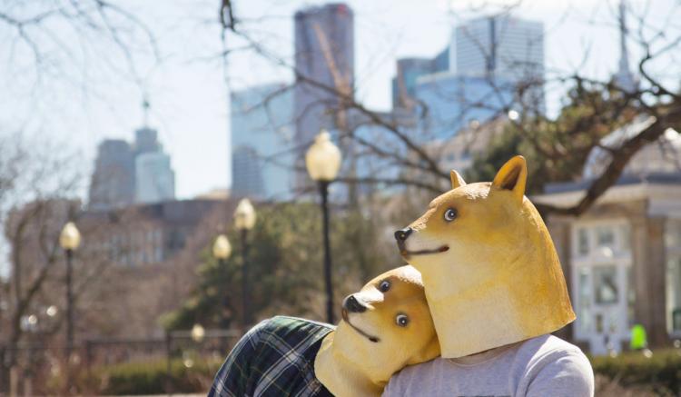 Doge Mask