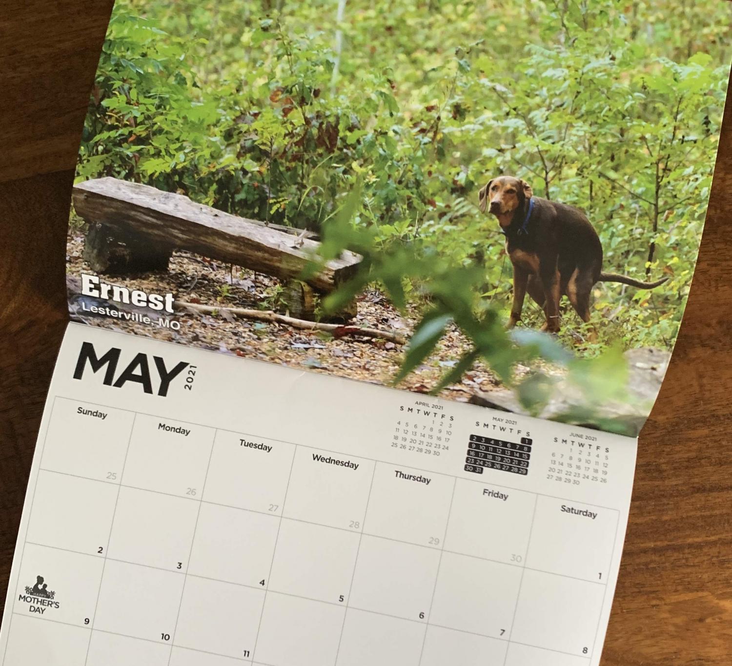 Dogs Pooping Calendar 2021 - Pooping Pooches Calendar 2021