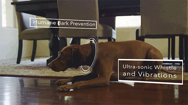 DogTelligent Smart Dog Collar