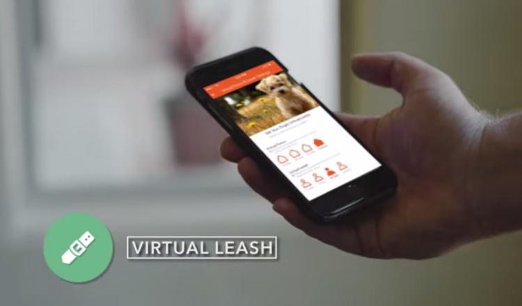 DogTelligent Smart Dog Collar