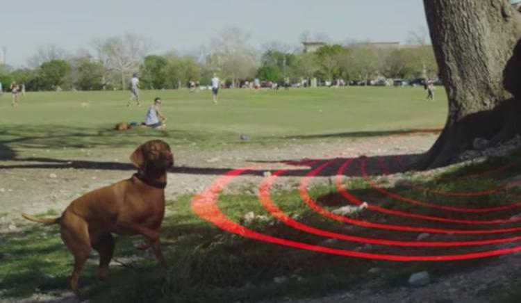 DogTelligent Smart Dog Collar