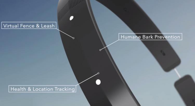 DogTelligent Smart Dog Collar
