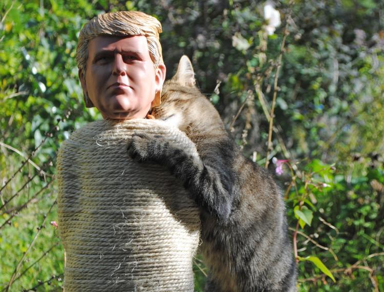 Donald Trump Cat Scratcher Post
