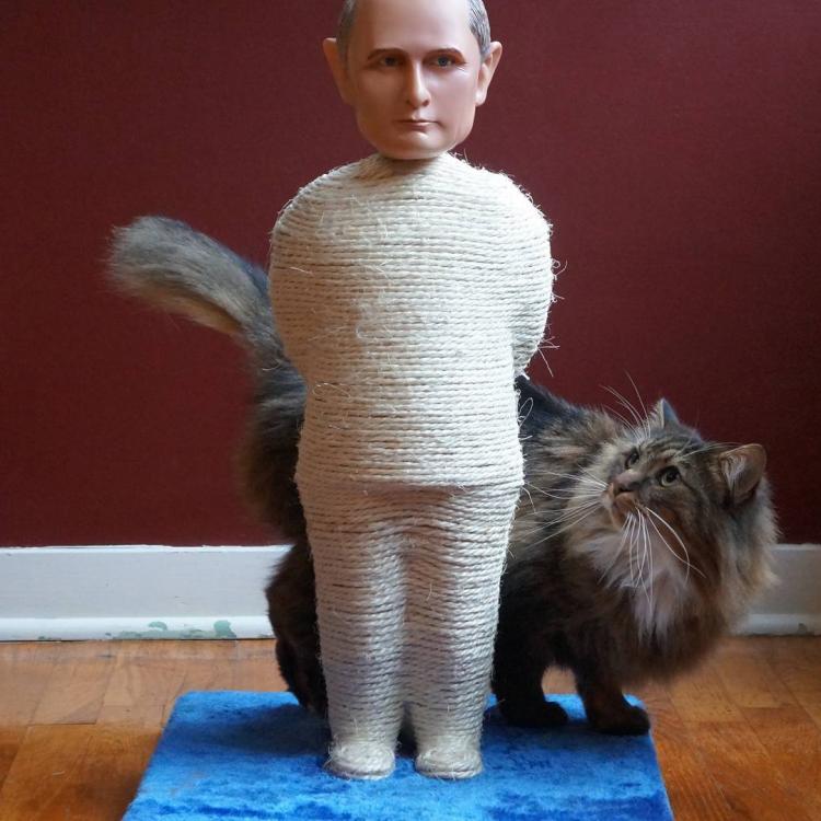 Vladmir Putin Cat Scratcher Post