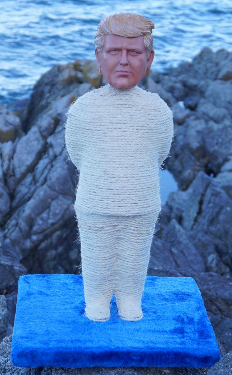 Donald Trump Cat Scratcher Post