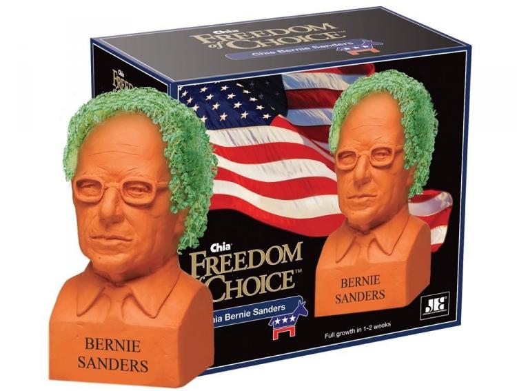Bernie Sanders Chia Pet - Political Chia Pets
