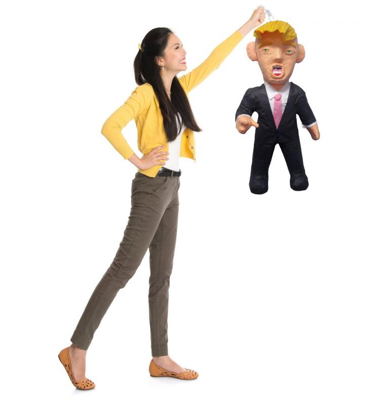 Donald Trump Pinata
