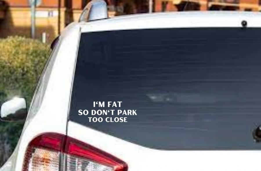 Dont Park Too Close Im Fat Car Decal Sticker