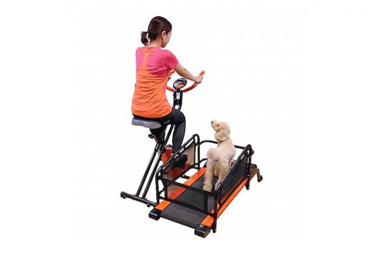 Dual Dog Exercise Treadmill and Exercise Bike Lets You Exercise With Your Dog Indoors - Dog treadmill