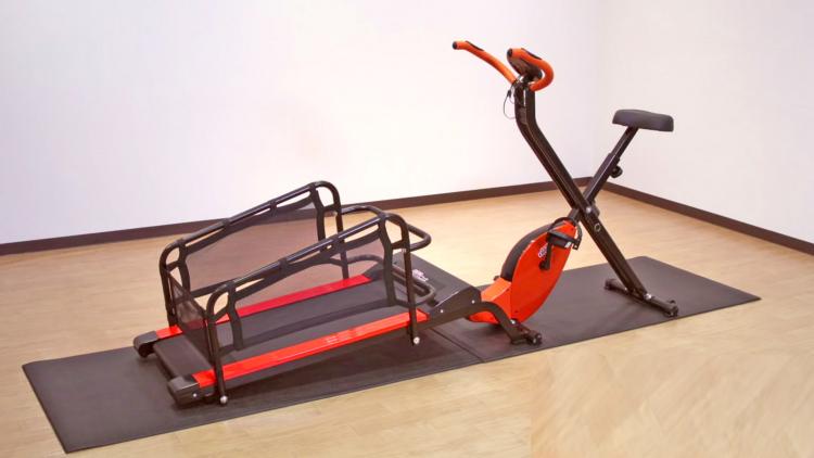Dual Dog Exercise Treadmill and Exercise Bike Lets You Exercise With Your Dog Indoors - Dog treadmill