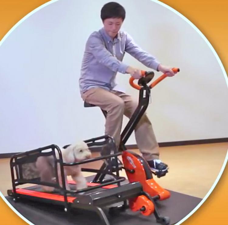 Dual Dog Exercise Treadmill and Exercise Bike Lets You Exercise With Your Dog Indoors - Dog treadmill