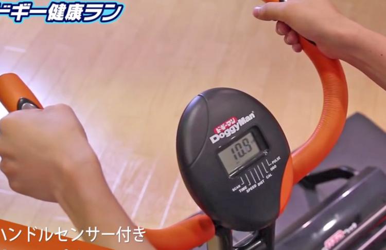 Dual Dog Exercise Treadmill and Exercise Bike Lets You Exercise With Your Dog Indoors - Dog treadmill