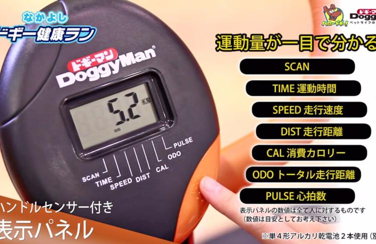 Dual Dog Exercise Treadmill and Exercise Bike Lets You Exercise With Your Dog Indoors - Dog treadmill