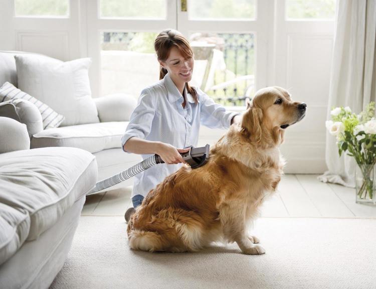 Dyson Groom - Dog Brush Vacuum Attachment